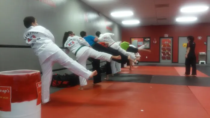 Karate Atlanta Alpharetta Picture 2