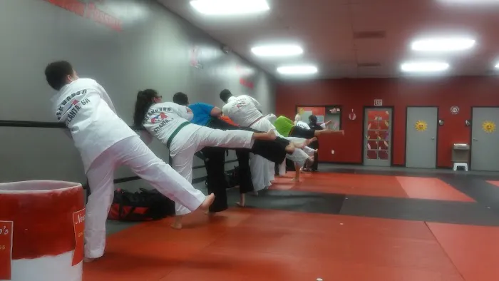 Karate Atlanta Alpharetta Picture 4