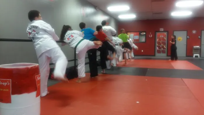 Karate Atlanta Alpharetta Picture 3