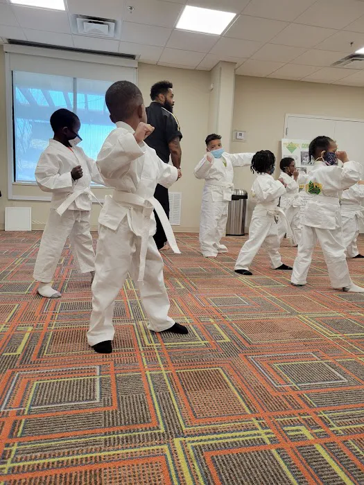 Premier Martial Arts Peachtree Corners Picture 4