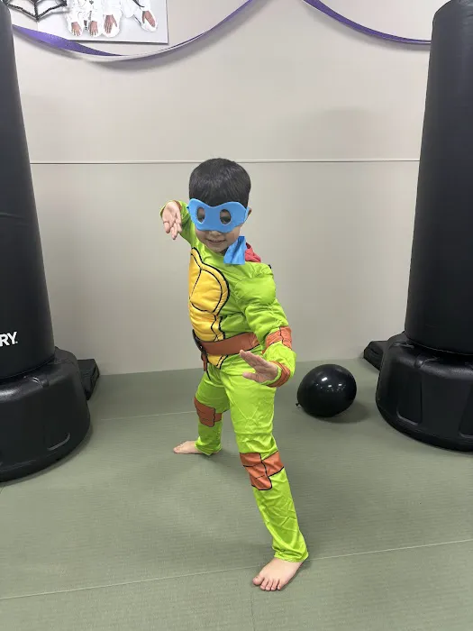 Premier Martial Arts Peachtree Corners Picture 8