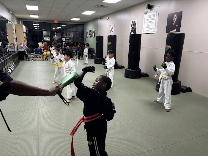 Premier Martial Arts Peachtree Corners Picture 7