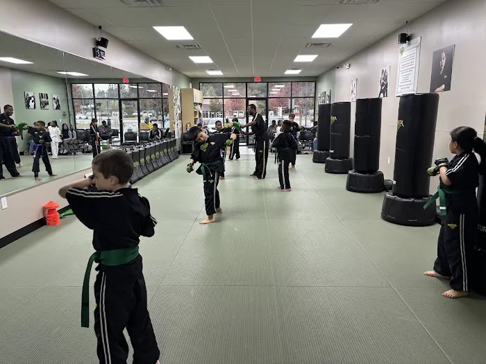 Premier Martial Arts Peachtree Corners Picture 9