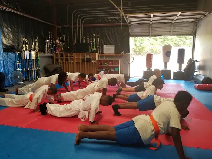 Ross Family Karate Picture 6