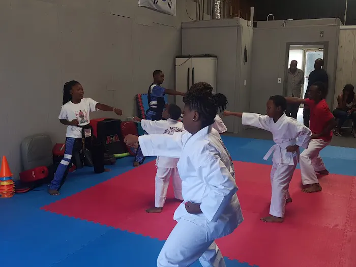 Ross Family Karate Picture 9