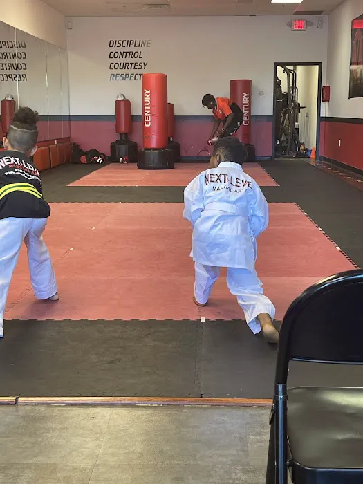 Next level Martial Arts Picture 2