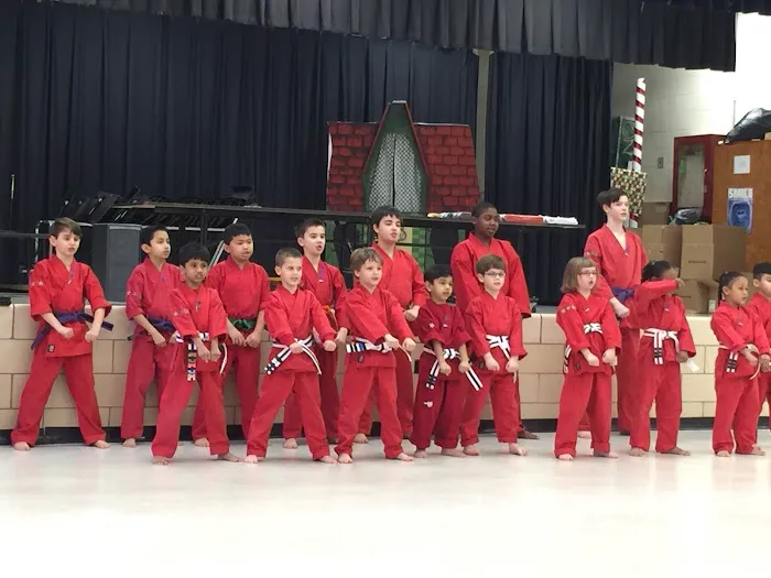 The Dojo American Karate Center Picture 1