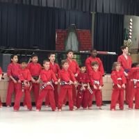 The Dojo American Karate Center ico