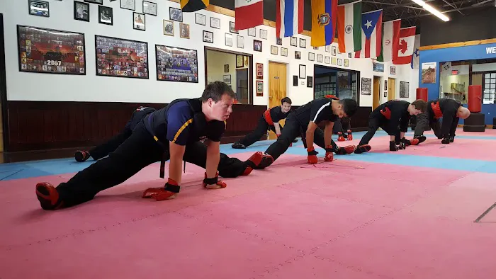 The Dojo American Karate Center Picture 7