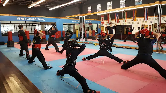 The Dojo American Karate Center Picture 8