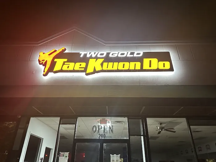 Two Gold Taekwondo Picture 4