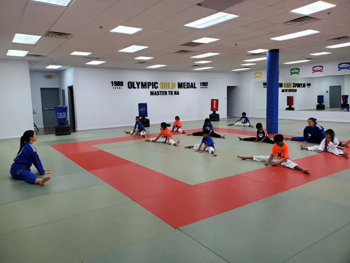 Two Gold Taekwondo Picture 8