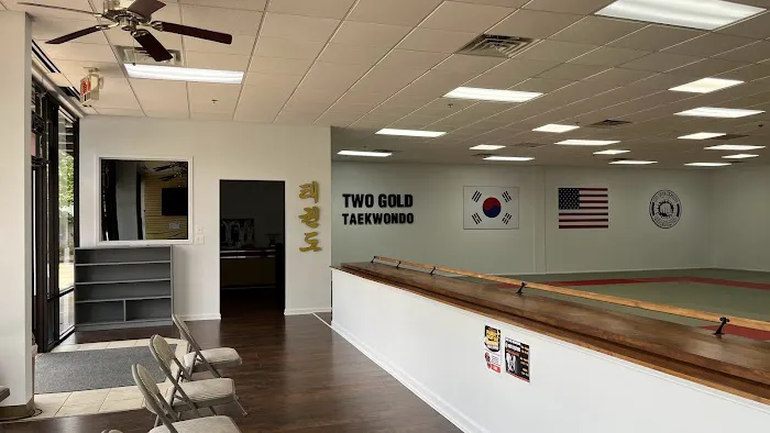 Two Gold Taekwondo Picture 10