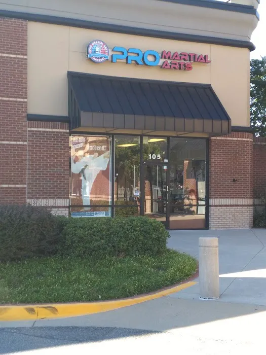 Martial Arts Picture 1