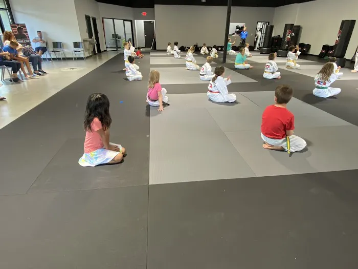 Karate Atlanta Picture 3