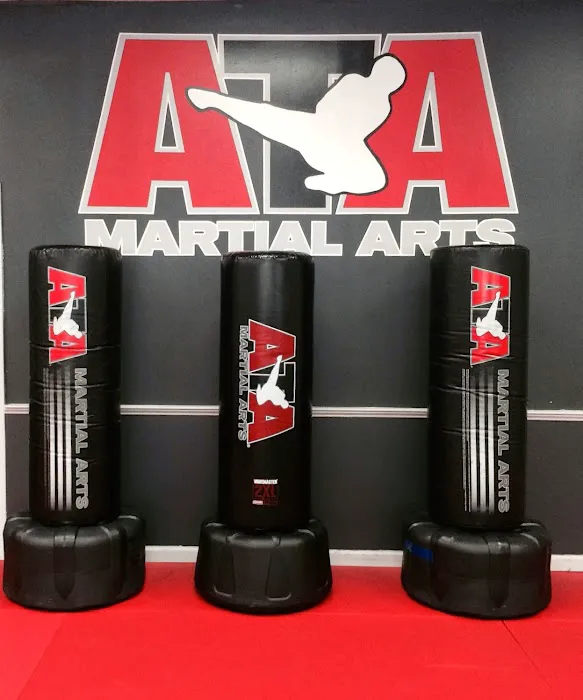 Karate Atlanta Picture 8