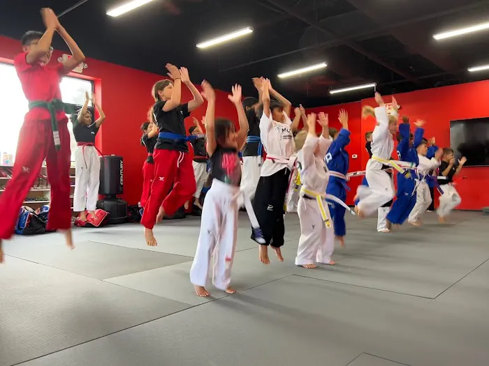 Song's Taekwondo Academy Picture 7