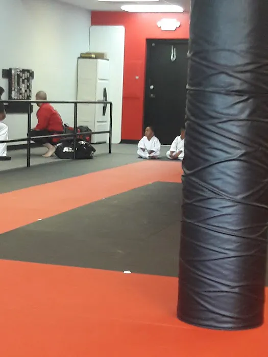 Karate Atlanta Marietta Picture 1