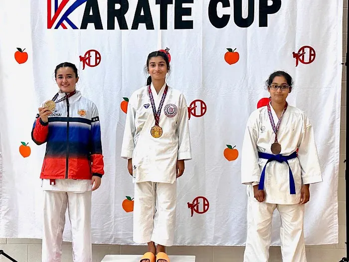 Ultimate Karate and Fitness Marietta Picture 10