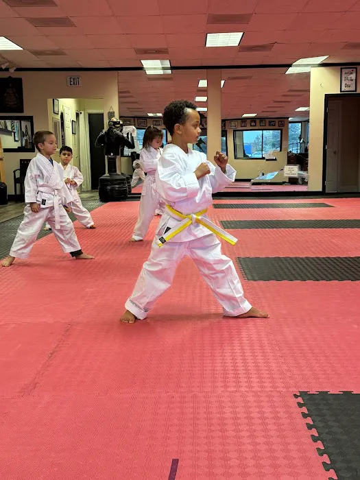 Ultimate Karate and Fitness Marietta Picture 9