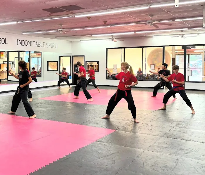 Iron Dragon Martial Arts Picture 4