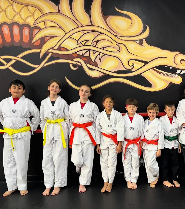 Iron Dragon Martial Arts Picture 3