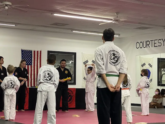 Iron Dragon Martial Arts Picture 1