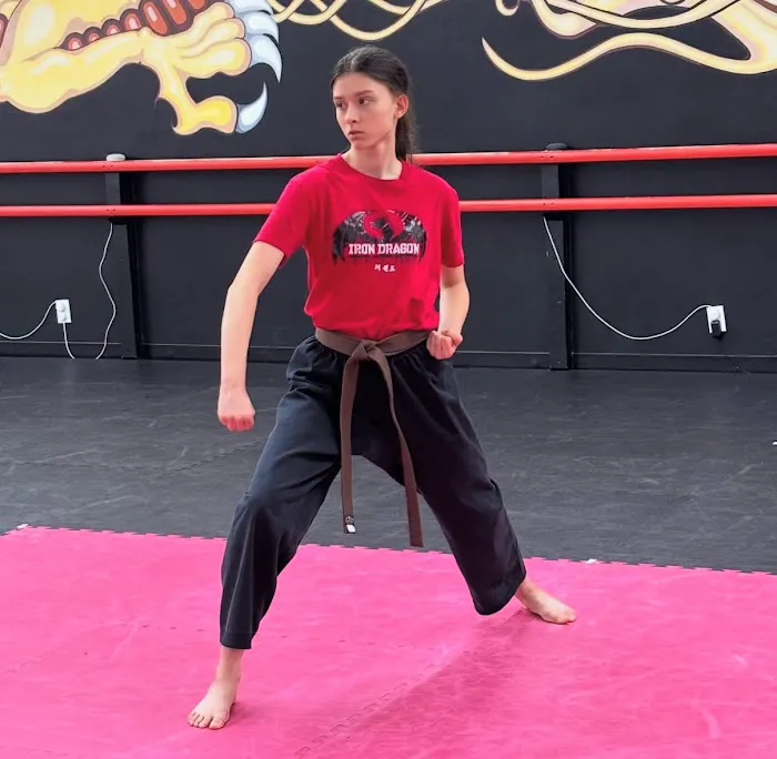 Iron Dragon Martial Arts Picture 7