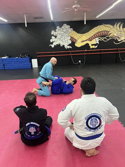 Iron Dragon Martial Arts Picture 9