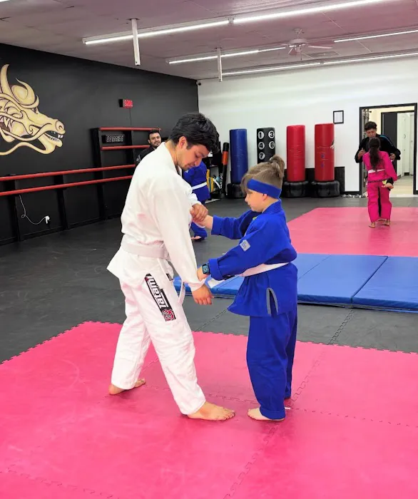 Iron Dragon Martial Arts Picture 5