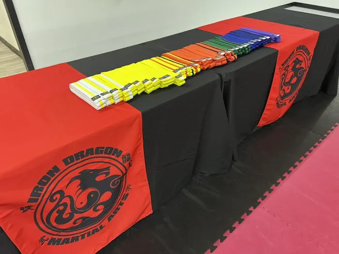 Iron Dragon Martial Arts Picture 8