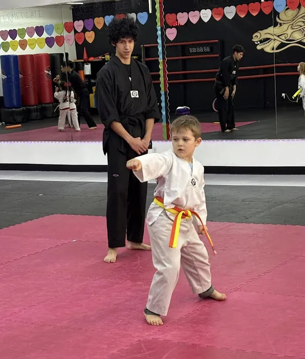 Iron Dragon Martial Arts Picture 6