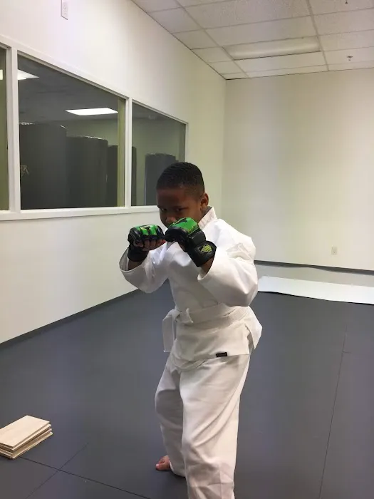 Premier Martial Arts Marietta, GA Picture 1