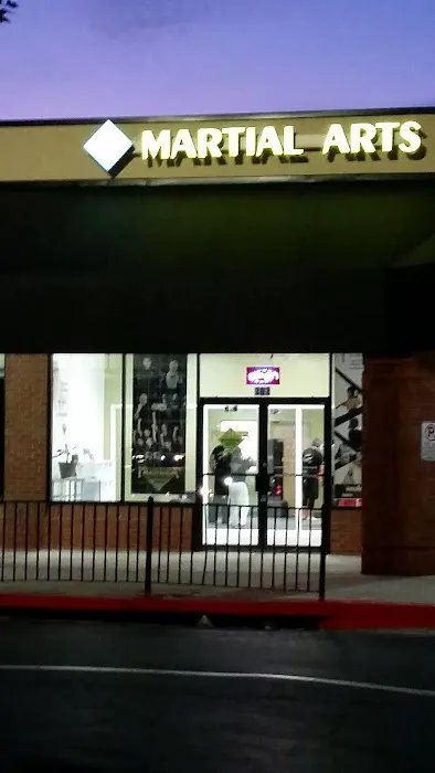 Premier Martial Arts Marietta, GA Picture 5