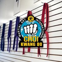 Peachtree City Universal Martial Art ico