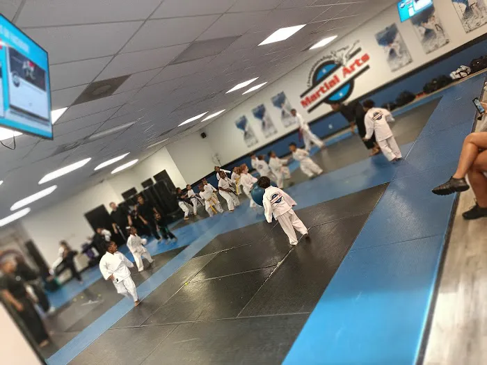 Championship Martial Arts - Stockbridge Picture 3