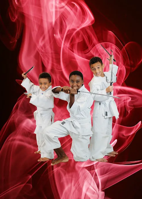 Championship Martial Arts - Stockbridge Picture 4