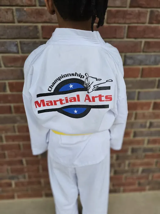 Championship Martial Arts - Stockbridge Picture 5
