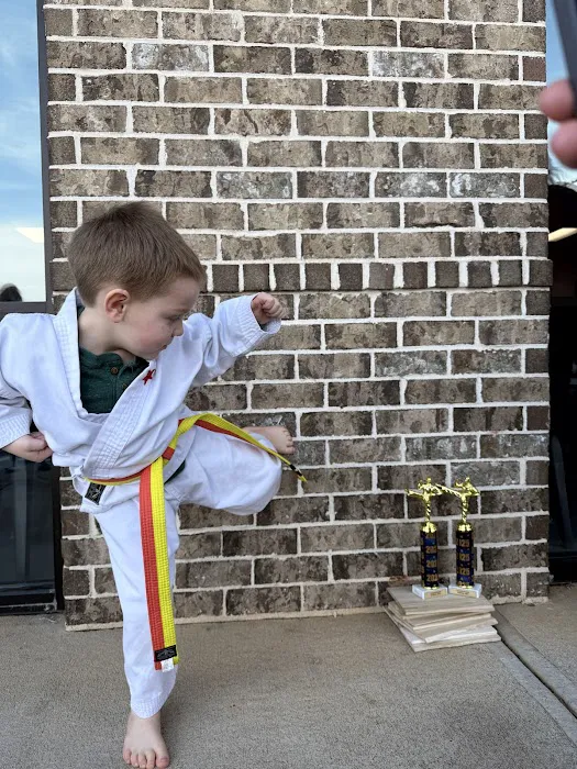 Championship Martial Arts - Stockbridge Picture 7