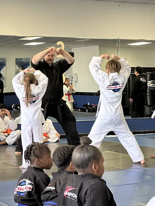 Championship Martial Arts - Stockbridge Picture 6