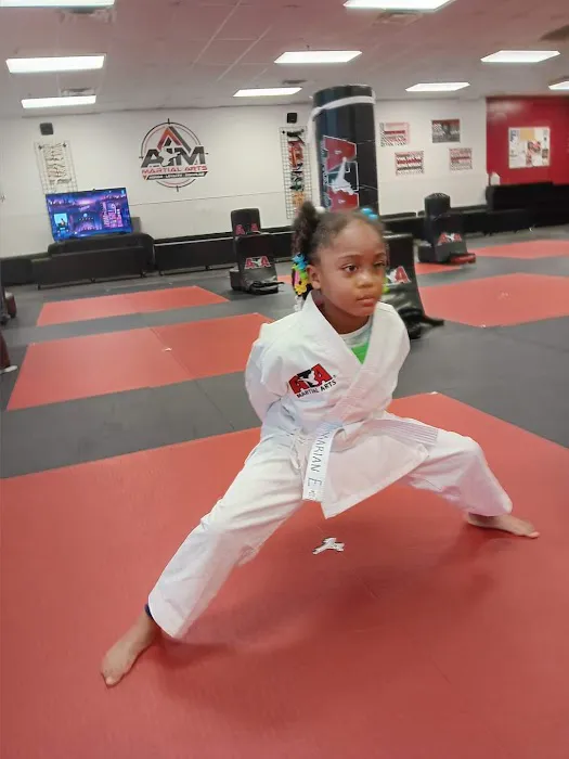 AIM Martial Arts Picture 5