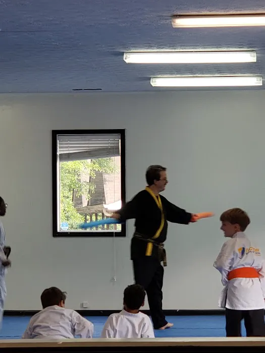 Victory Martial Arts Academy Picture 2