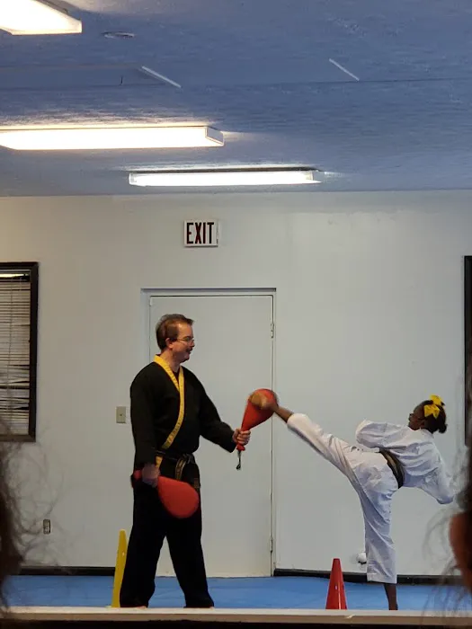 Victory Martial Arts Academy Picture 3