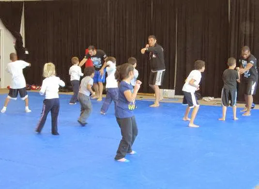 Victory Martial Arts Academy Picture 8