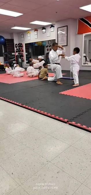 Purple Dragon Karate Picture 2