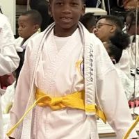 Purple Dragon Karate ico