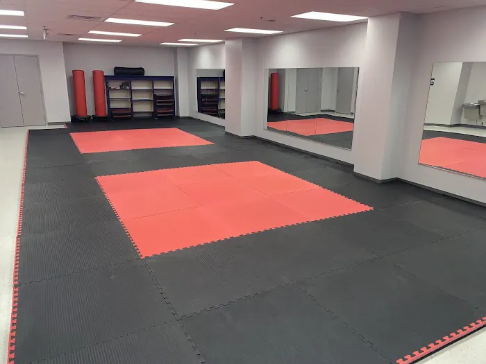 Purple Dragon Karate Picture 7