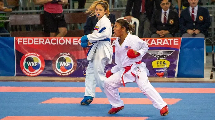 Champion Karate & Fitness Picture 4