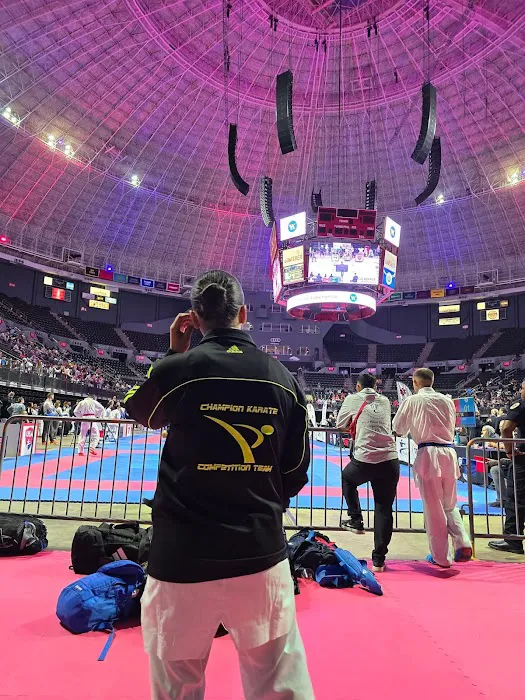 Champion Karate & Fitness Picture 9