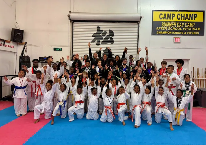 Champion Karate & Fitness Picture 8